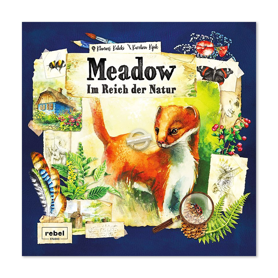 REBD0004 Meadow: Im Reich der Natur Brettspiel 1-4 Spieler ab 10 ... 