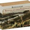Feuerland Spiele: Viticulture – Besuch aus dem Rheingau (DE) (1378-705)
