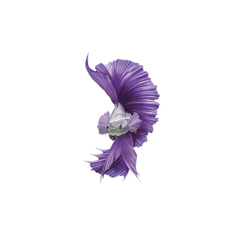 Synapses Games: Betta