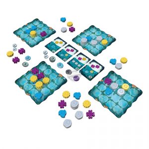 Next Moves Games: Reef (Second Edition)